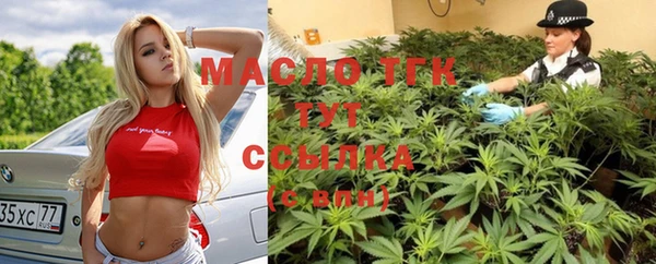 винт Михайлов